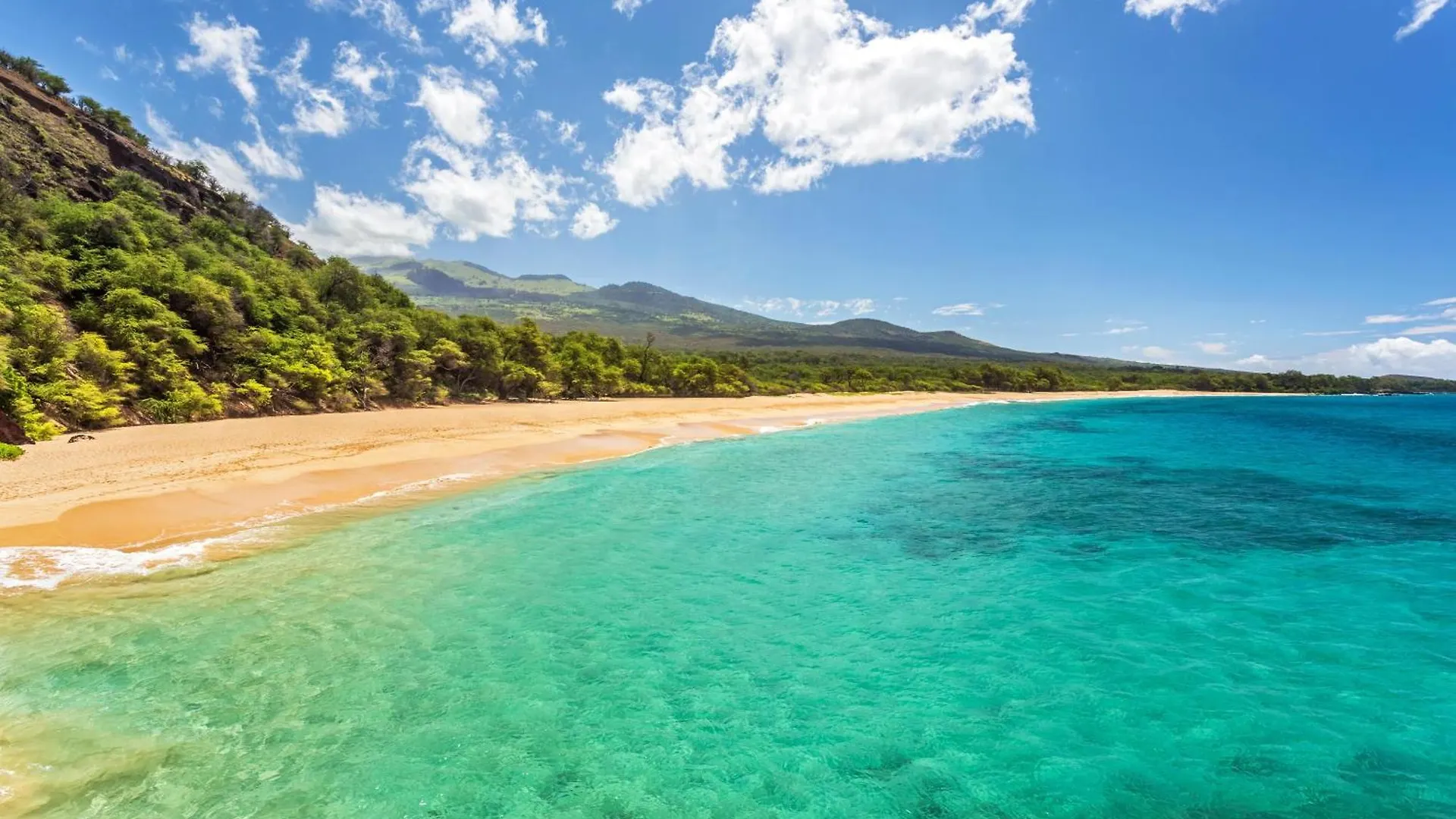 Kamaole Sands 10-311 Wailea  Wailea (Maui)